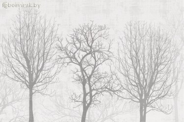 Фотообои De-Art Зимний сад